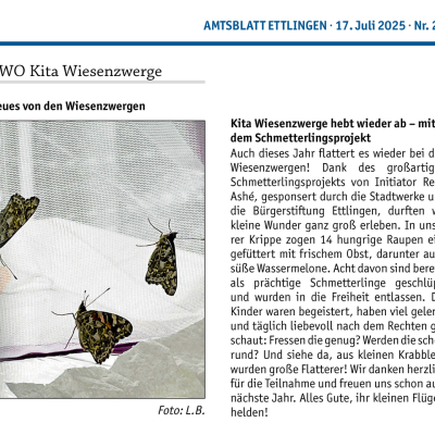 20250717 Amtsblatt 29b